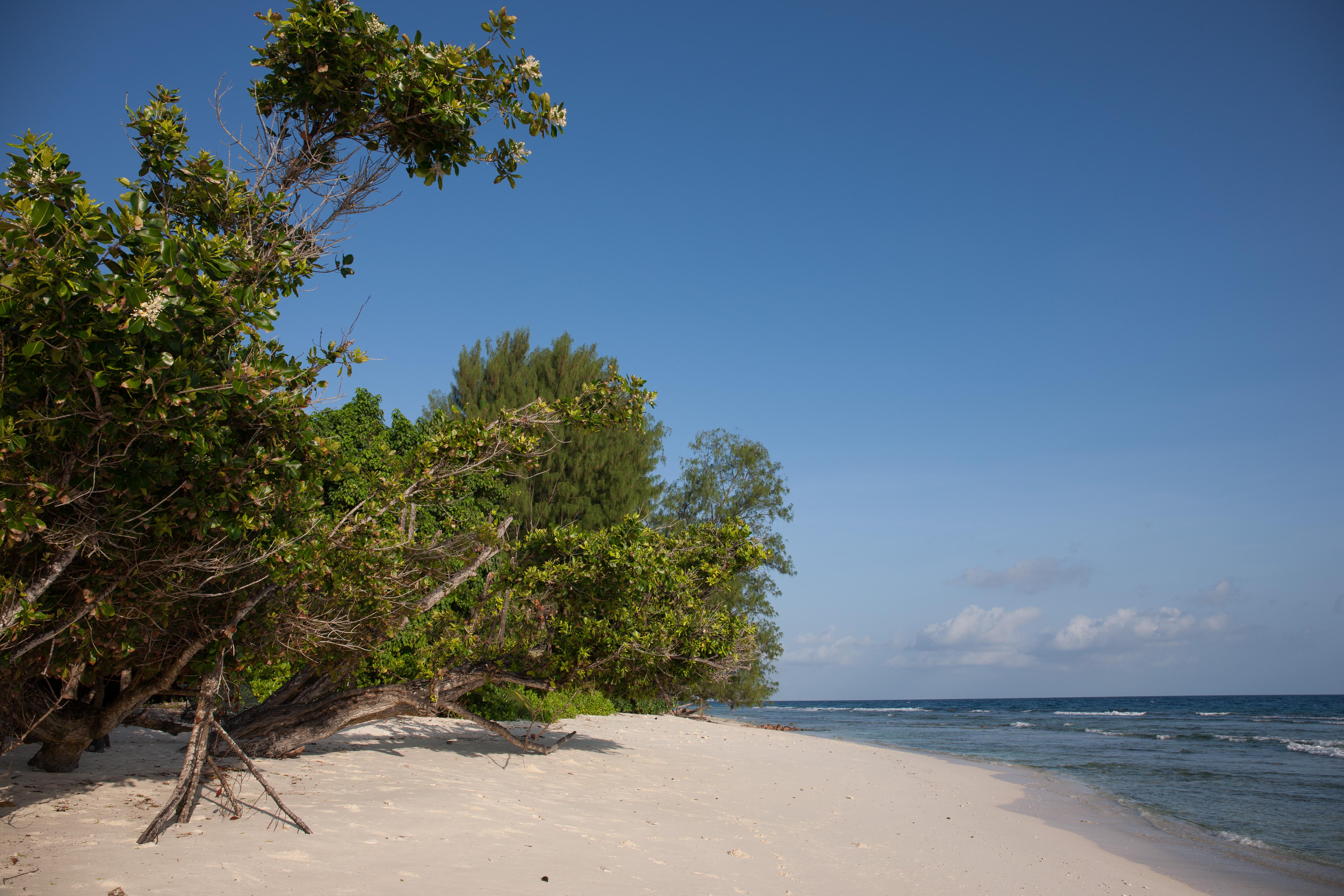 Le Relax Luxury Lodge (Adults Only) La Digue Exterior foto