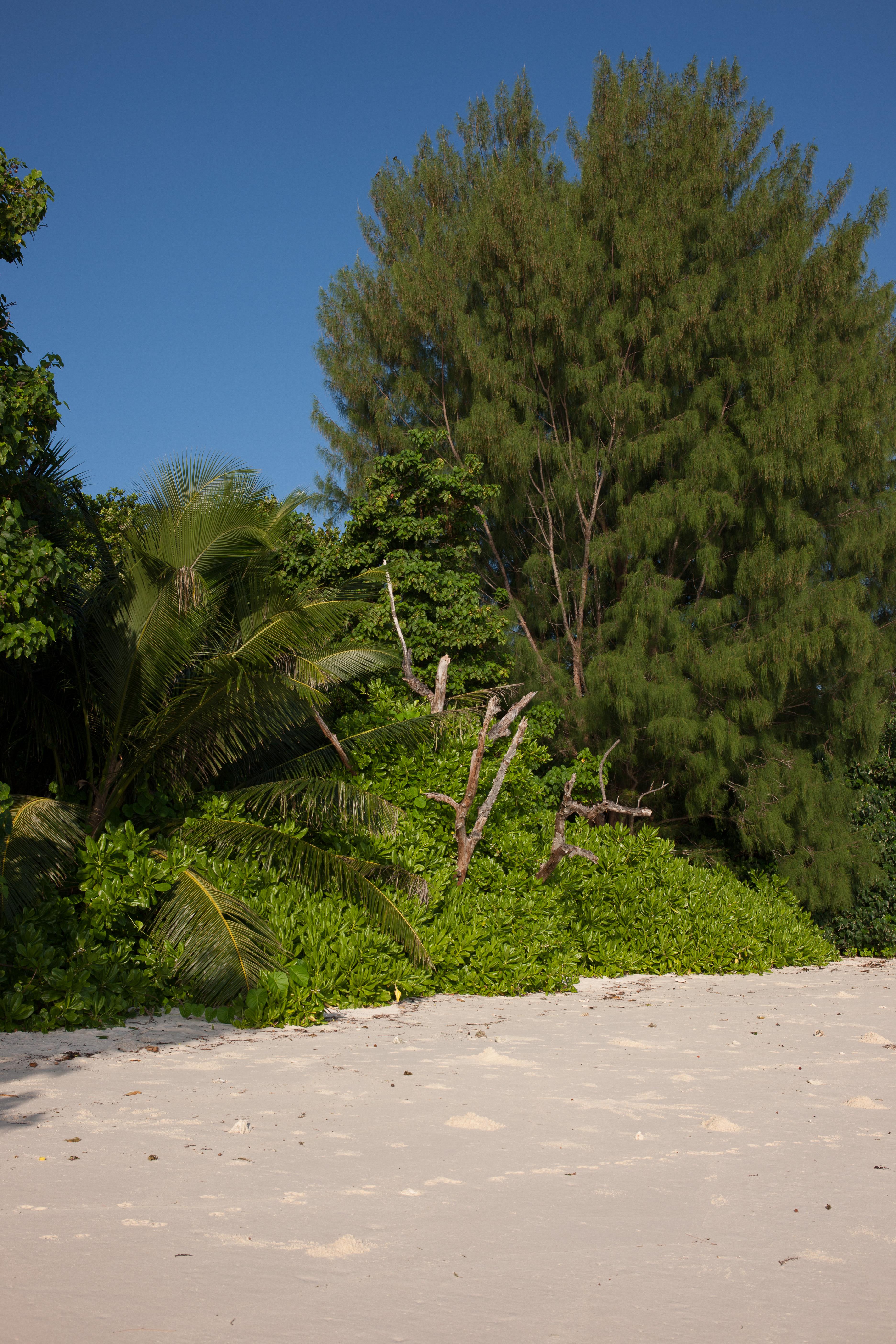 Le Relax Luxury Lodge (Adults Only) La Digue Exterior foto